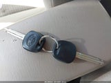 Miniaturka zdjęcia 11