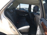 Miniaturka zdjęcia 8