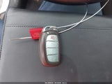 Miniaturka zdjęcia 11