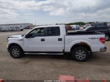 Ford F-150 Xlt 1FTFW1ET0EKF23175 снимка