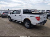 Ford F-150 Xlt 1FTFW1ET0EKF23175 снимка