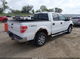 Ford F-150 Xlt 1FTFW1ET0EKF23175 снимка