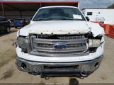 Ford F-150 Xlt 1FTFW1ET0EKF23175 снимка