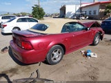 Ford Mustang 1FAFP444X3F450160 photo