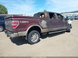 Ford F-150 Fx4/Harley-Davidson/King Ranch/Lariat/Platinum/Xl/Xlt 1FTFW1EVXAKC10341 fotografie