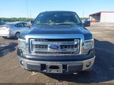 Ford F-150 Xlt 1FTFW1ET9DFB50273 снимка