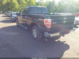 Ford F-150 Xlt 1FTFW1ET9DFB50273 снимка
