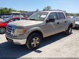 Ford F-150 Fx4/Harley-Davidson/King Ranch/Lariat/Platinum/Xl/Xlt 1FTFW1EV7AFA29142 photo