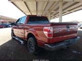 Ford F-150 Xlt 1FTFW1CF5EKD32512 снимка