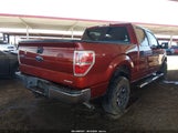 Ford F-150 Xlt 1FTFW1CF5EKD32512 снимка