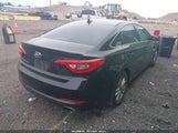 Hyundai Sonata Se 5NPE24AF9GH311322 снимка