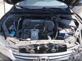 Honda Accord Ex 1HGCR2F74DA078043 photo