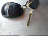 Miniaturka zdjęcia 11