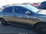 Toyota Corolla L 2T1BU4EE2DC090207 снимка