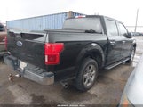 Ford F-150 Xlt 1FTEW1CB4KKE13375 снимка