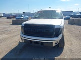 Ford F-150 Fx2 Sport/Harley-Davidson/King Ranch/Lariat/Platinum/Xl/Xlt 1FTFW1CV5AKC54475 photo