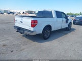 Ford F-150 Fx2 Sport/Harley-Davidson/King Ranch/Lariat/Platinum/Xl/Xlt 1FTFW1CV5AKC54475 fotografie