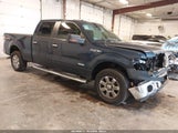 Ford F-150 Xlt 1FTFW1ET0EFC04190 снимка