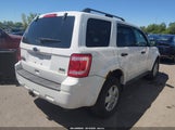 Ford Escape Xlt 1FMCU0DG8AKB21918 снимка