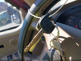 Miniaturka zdjęcia 11