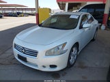 Nissan Maxima 3.5 Sv 1N4AA5AP0EC486752 снимка