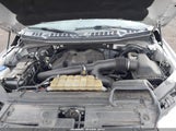 Ford F-150 Xlt 1FTEW1E44LFA97873 fotografie