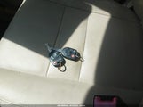 Miniaturka zdjęcia 11