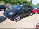 Toyota Rav4 JTMBD33V385201749 снимка