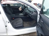 Miniaturka zdjęcia 5