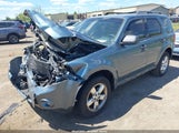 Ford Escape Xlt 1FMCU9DG3AKB64552 photo