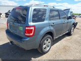 Ford Escape Xlt 1FMCU9DG3AKB64552 photo