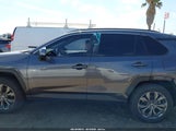 Toyota Rav4 Hybrid Xle Premium 4T3B6RFV1RU158404 fotografie