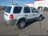 Ford Escape Xlt 1FMYU04132KB53713 снимка