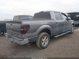 Ford F-150 Xlt 1FTFW1CF0DFC20238 снимка