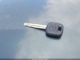 Miniaturka zdjęcia 11