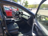 Toyota Rav4 Xle JTMP1RFV8KD502205 photo