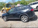 Toyota Rav4 Xle JTMP1RFV8KD502205 photo