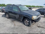 Chevrolet Trailblazer Ls 1GNDS13S452107294 снимка