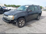 Chevrolet Trailblazer Ls 1GNDS13S452107294 снимка