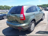 Honda Cr-V Ex-L 5J6RE48798L015621 fotografie