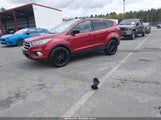 Miniaturka zdjęcia 2