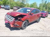 Ford Escape Se 1FMCU0GD7KUB68493 fotografie