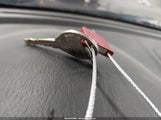 Subaru Impreza Outback Sport Base W/Special Edition JF1GG68595H817995 снимка
