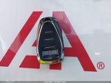 Miniaturka zdjęcia 11