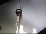 Miniaturka zdjęcia 11
