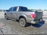 Ford F-150 Xlt 1FTFW1EF5DKG36189 снимка