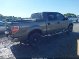 Ford F-150 Xlt 1FTFW1EF5DKG36189 снимка