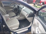 Toyota Corolla Le 2T1BU4EE0BC701347 fotografie