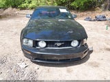 Ford Mustang Gt Deluxe/Gt Premium 1ZVHT82H575202953 photo