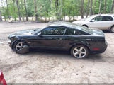 Ford Mustang Gt Deluxe/Gt Premium 1ZVHT82H575202953 fotografie